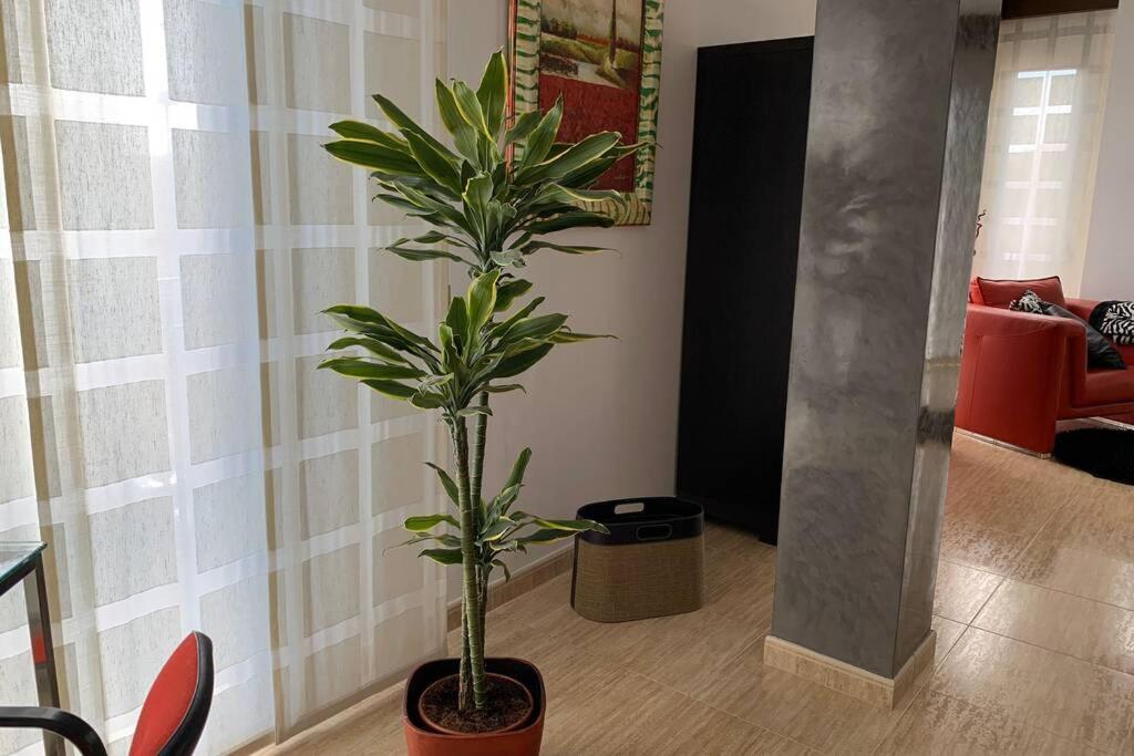 Apartamento Miramar . Amplitud y Comodidad photo 3