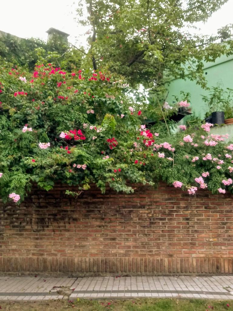 Jardin Secreto photo 4