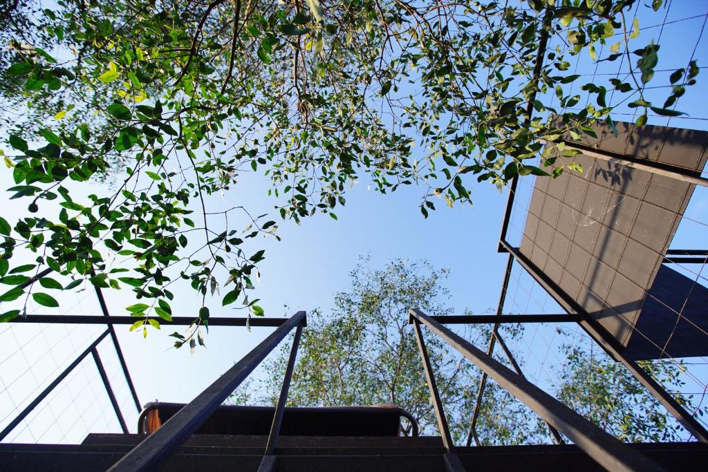 Двухместный (Двухместный номер Делюкс с 1 кроватью), Курортный отель Bangkok Tree House