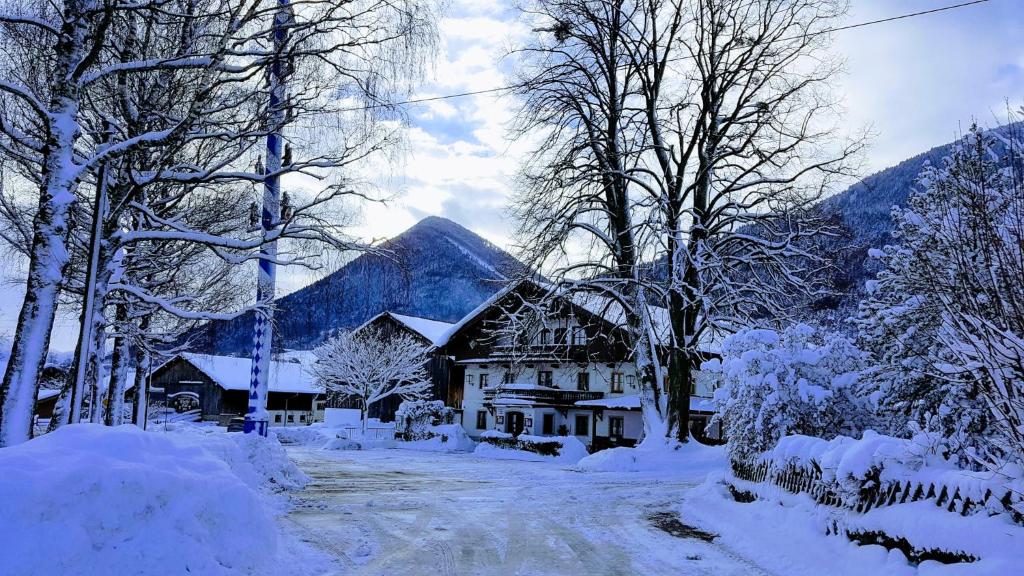Gasthof Tiroler Hof photo 2