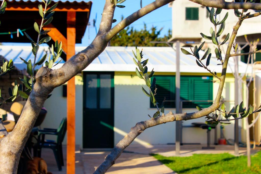 Holiday home - Beach house 'Amarella' photo 3