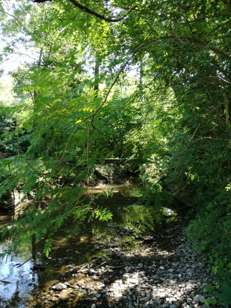 Le Moulin du Galant photo 3