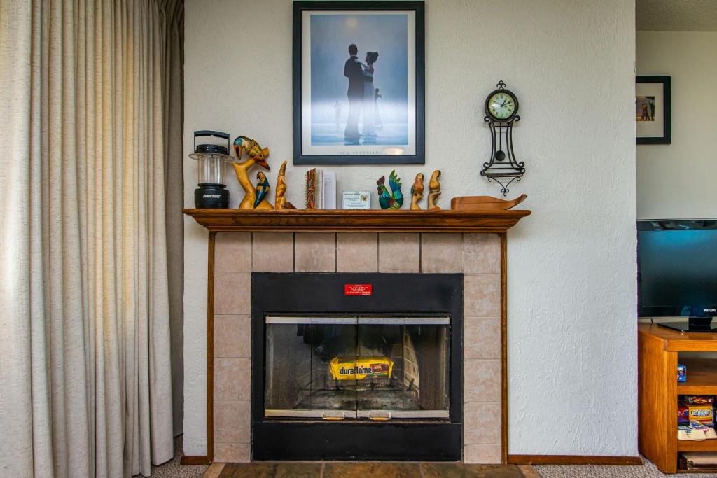 Puffin Condo photo 4