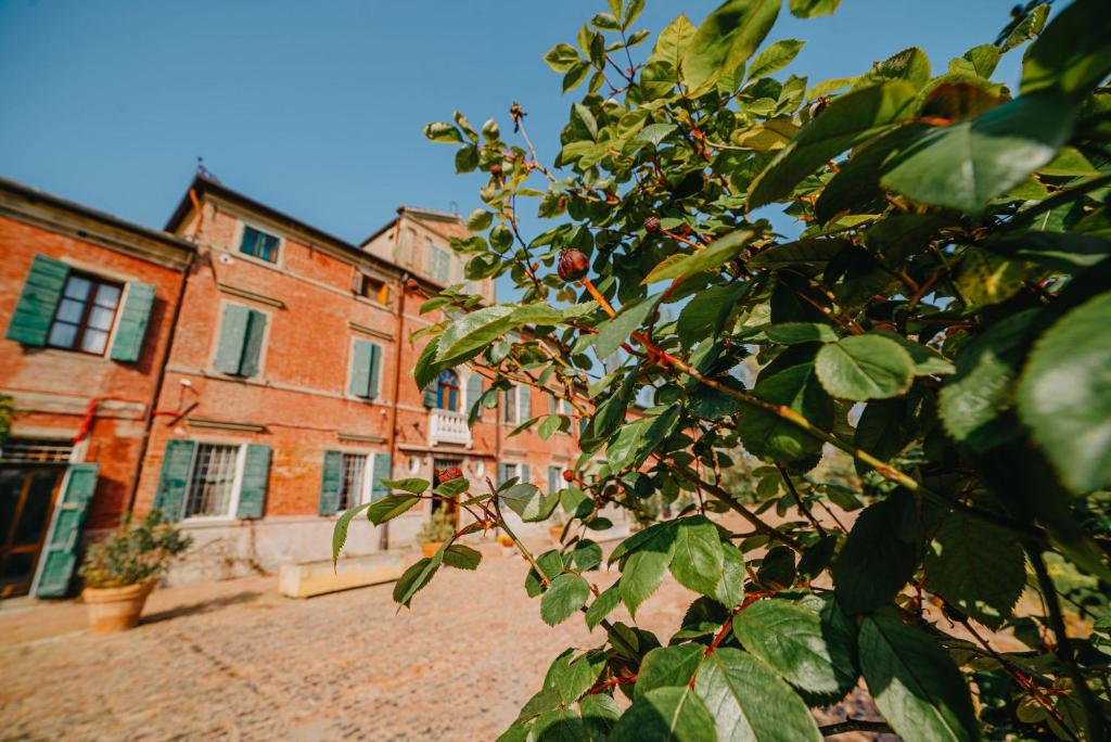 Tenuta Ca' Zen photo 2