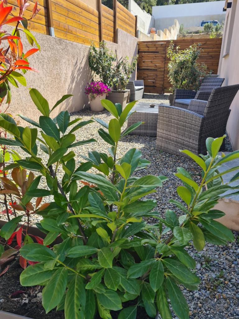 Casa Dea photo 2