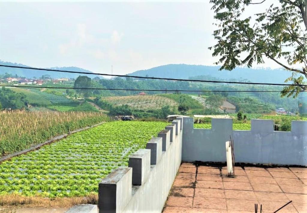 Villa Lembang Bunda photo 2