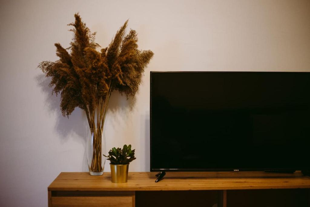 Apartman Gold photo 1