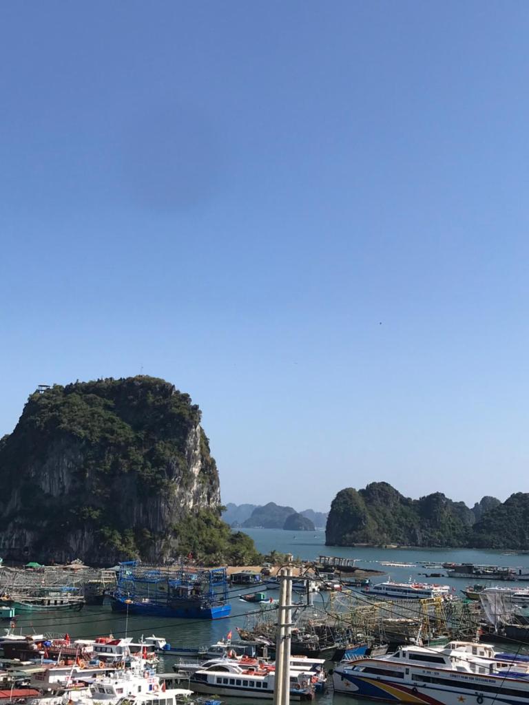Hoàng Grand photo 1