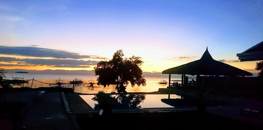 Cebu Seaview Dive Resort photo 1