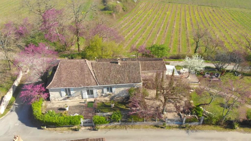 Cœur de vigne à Colombier 24560 photo 1