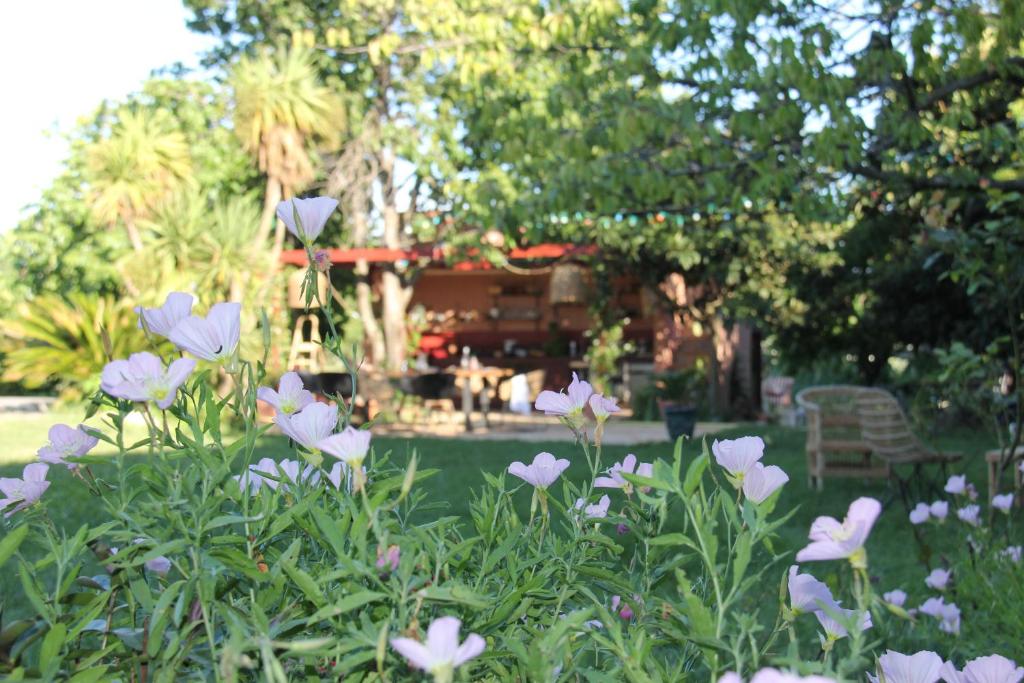 Domaine Sesquier Mas d'exception Jasmin photo 1