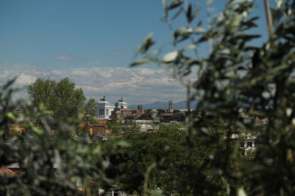 Trastevere Belvedere B&B photo 1