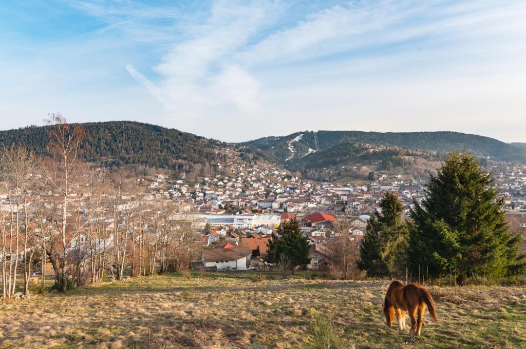 Les Balcons De La Haie Griselle gîte 4/pers photo 3