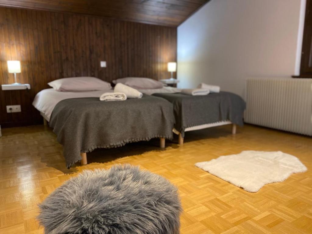 CHALET DE MANU photo 3