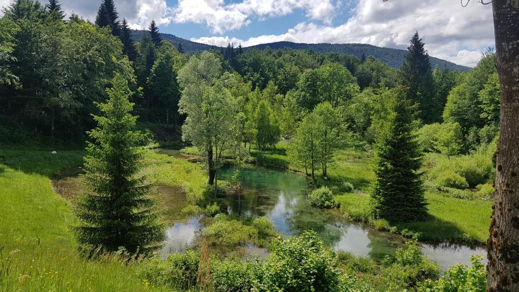 B&B Plitvice Lakes Villa Prica photo 1