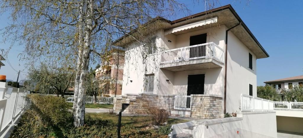 BETULLA BIANCA photo 2
