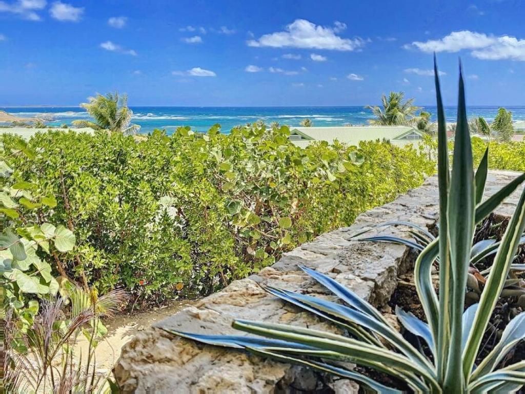 Villa la Vie en Rose, Stunning Ocean view, Private pool, Privacy photo 1