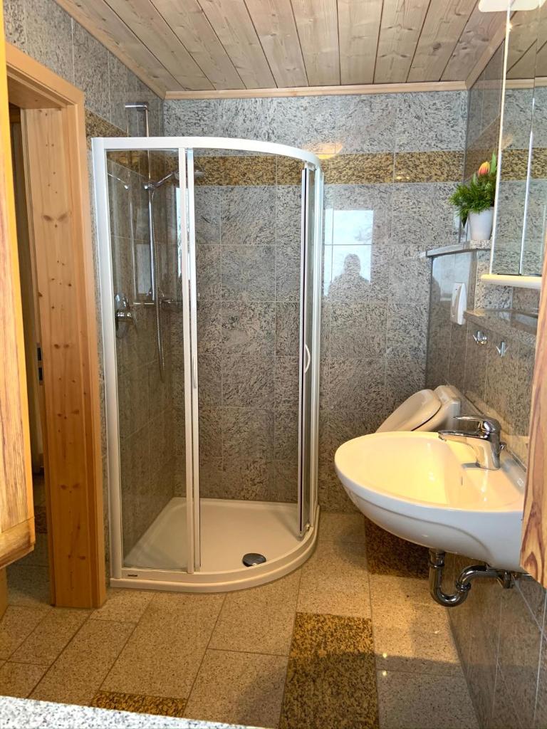 Апартаменты (Апартаменты с 2 спальнями), Almpartments Rosengasse