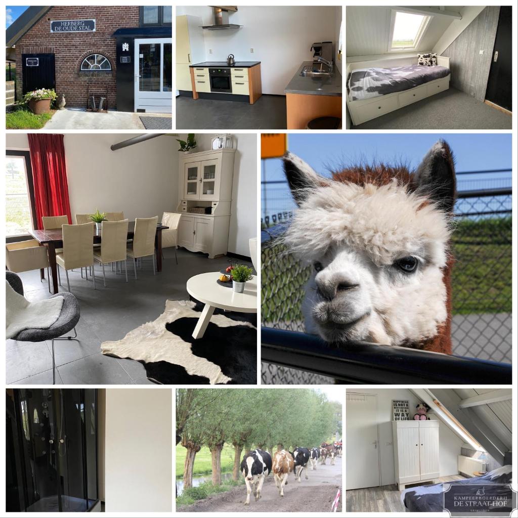 Herberg Boerderij de Straat-Hof