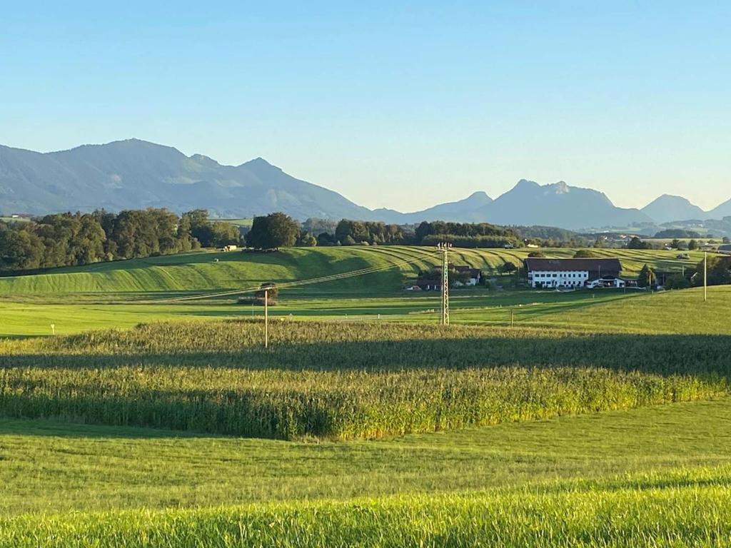 Asbichlerhof photo 1