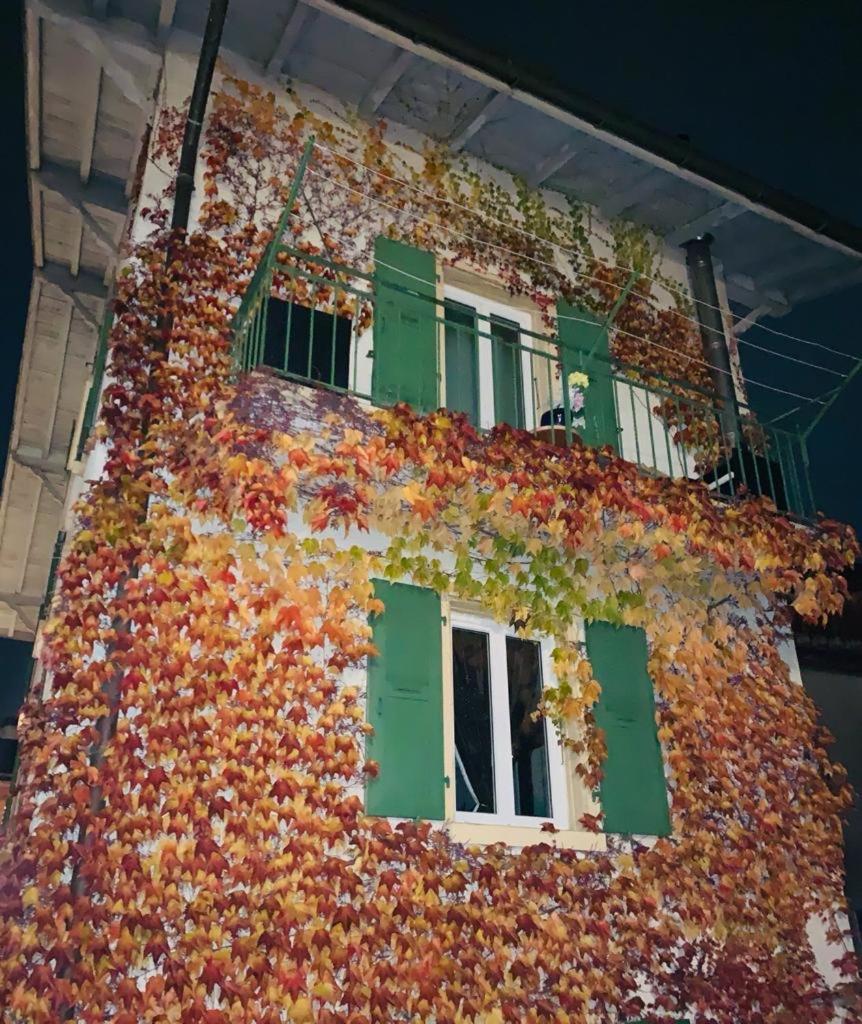 schone wohnung in sierre photo 4