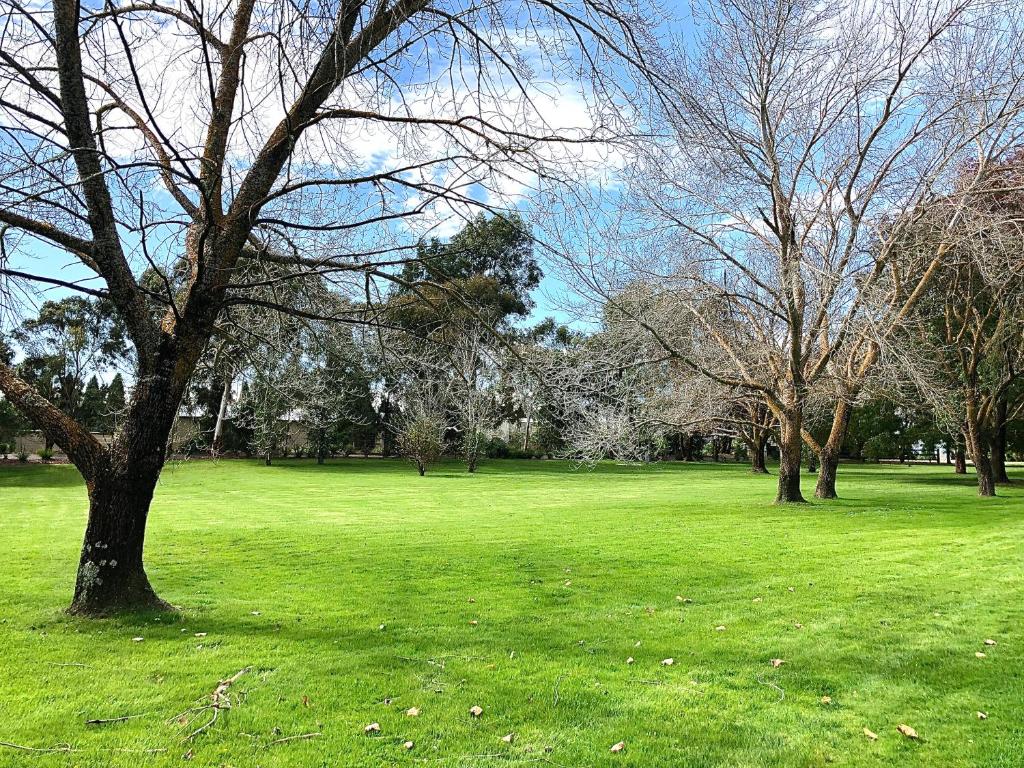 Briars Country Lodge photo 2