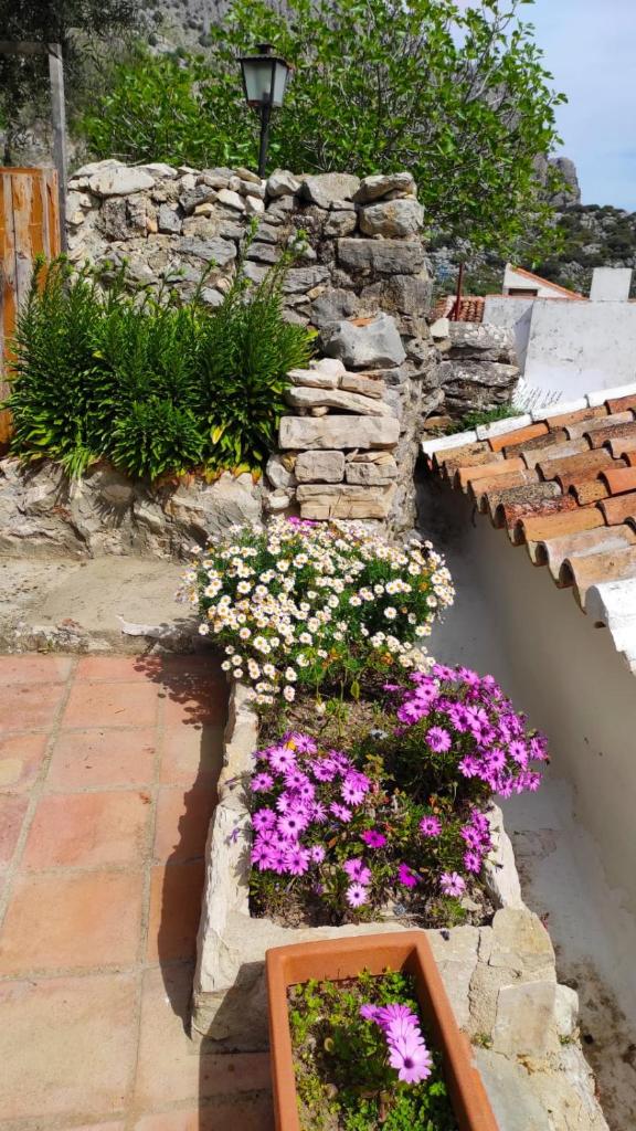 Casa Cabra photo 3