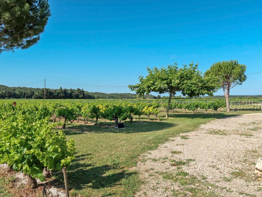 Holiday Home La Cardeline - GRG200 by Interhome photo 4