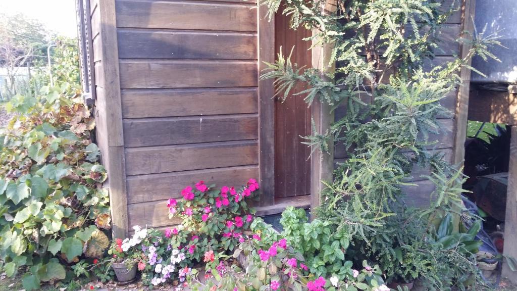 The Whare Rural Retreat photo 3