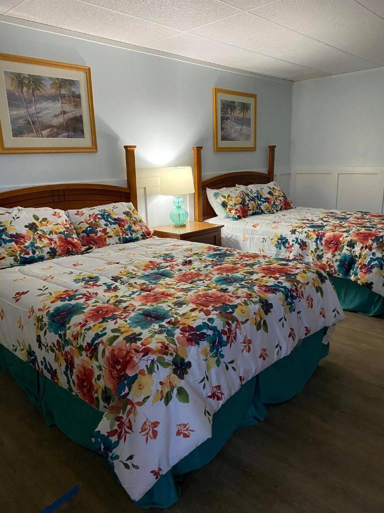 The Palms Motel photo 3