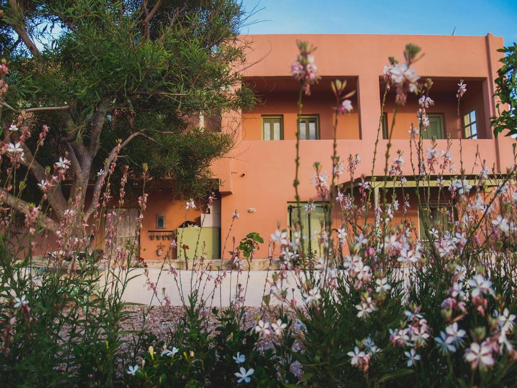 Flower and Crafts - The Eco Nature House photo 1