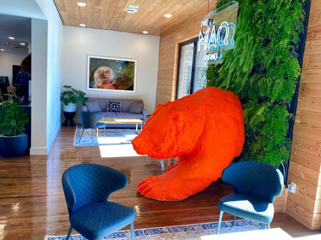 The Maq Hotel photo 3