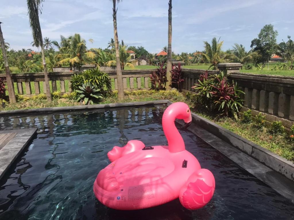 Anggarakasih Ubud Villa - Tap to explore photos