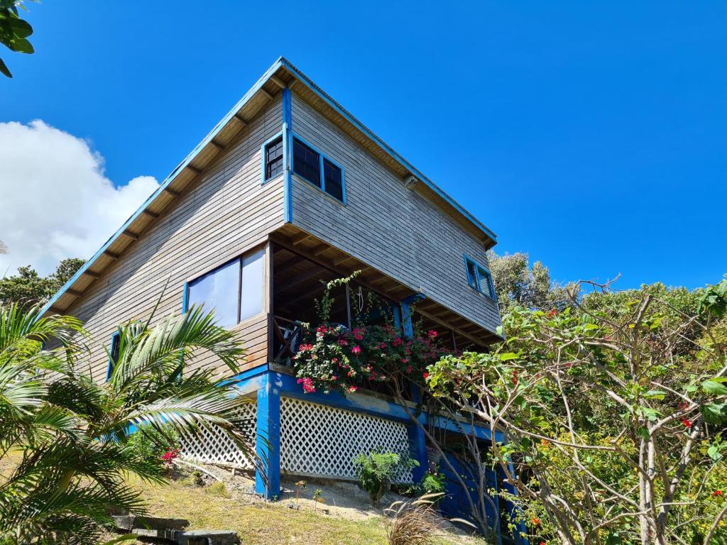 Almost Paradise Cottage Retreats photo 3