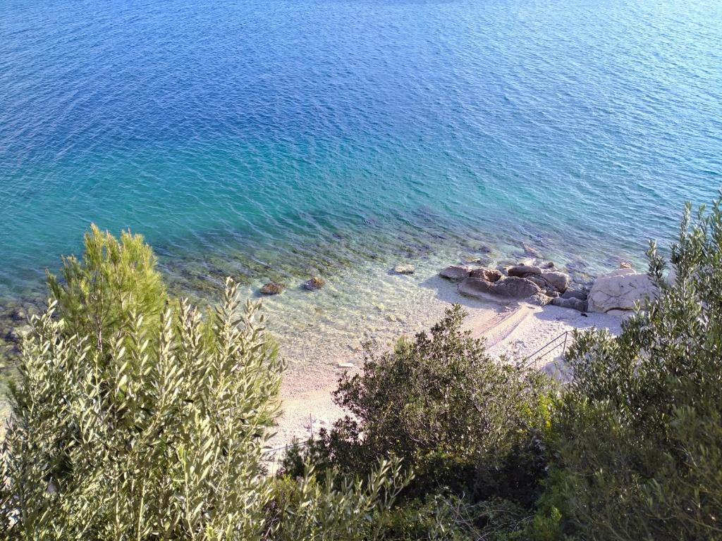 Dolphin apartments, each with the sea view photo 1