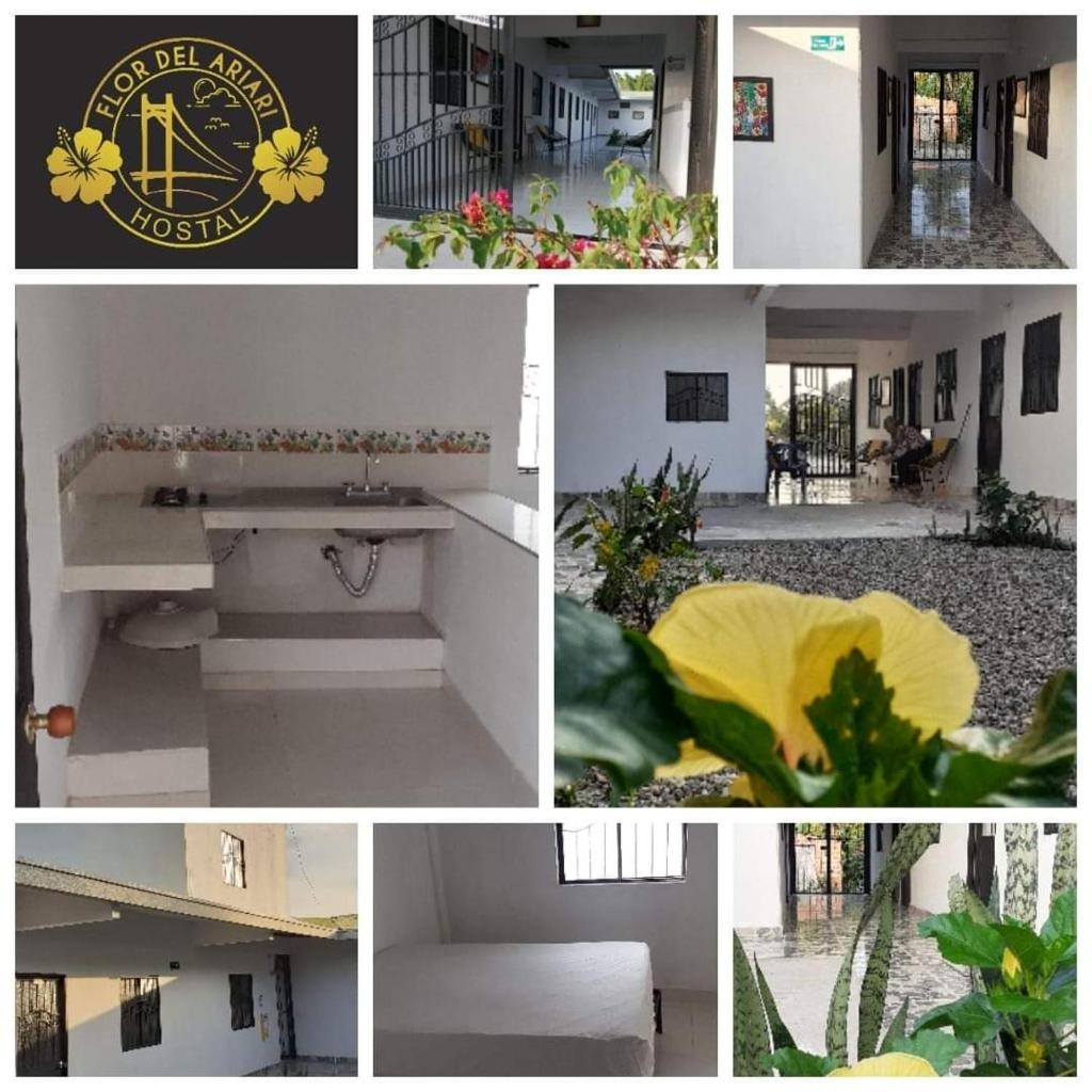 Hostal Flor del Ariari photo 1