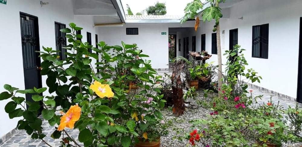 Hostal Flor del Ariari photo 3