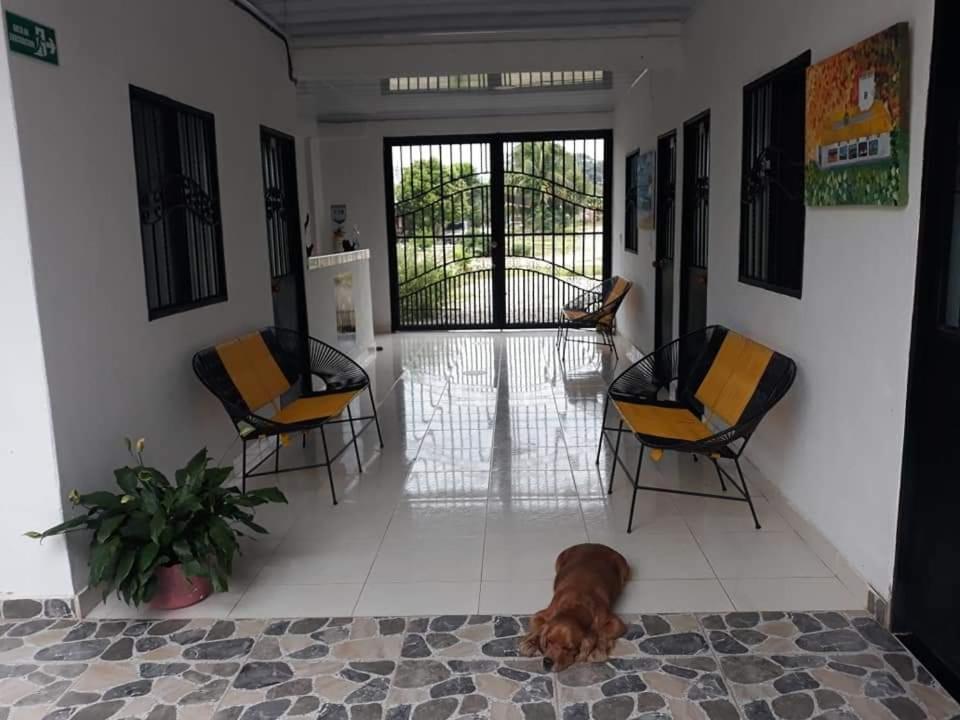 Hostal Flor del Ariari photo 4