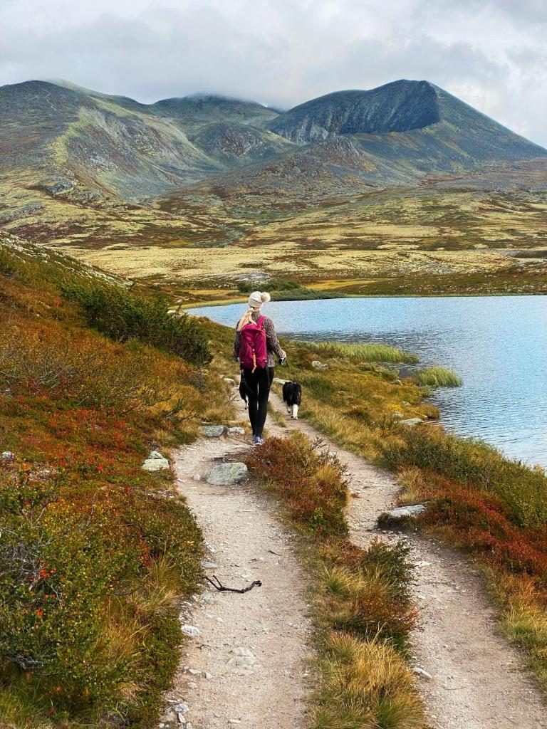 Høvringen Høgfjellshotell photo 4