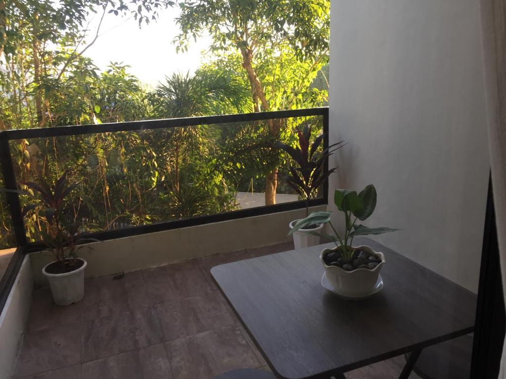 Bohol Ecotel photo 1