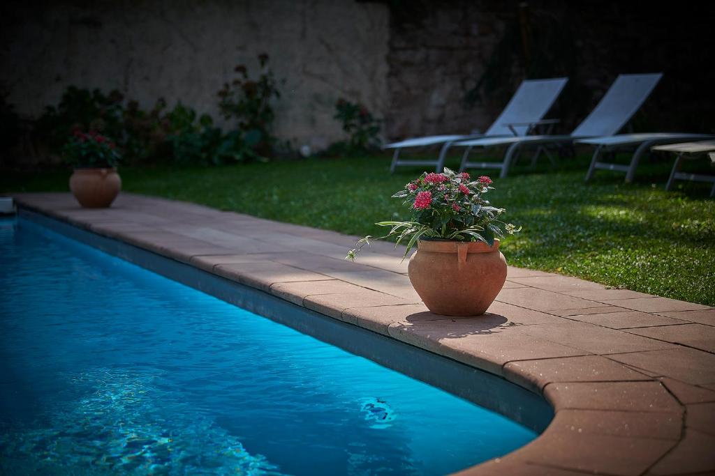 Pêche de Vigne & Spa photo 3