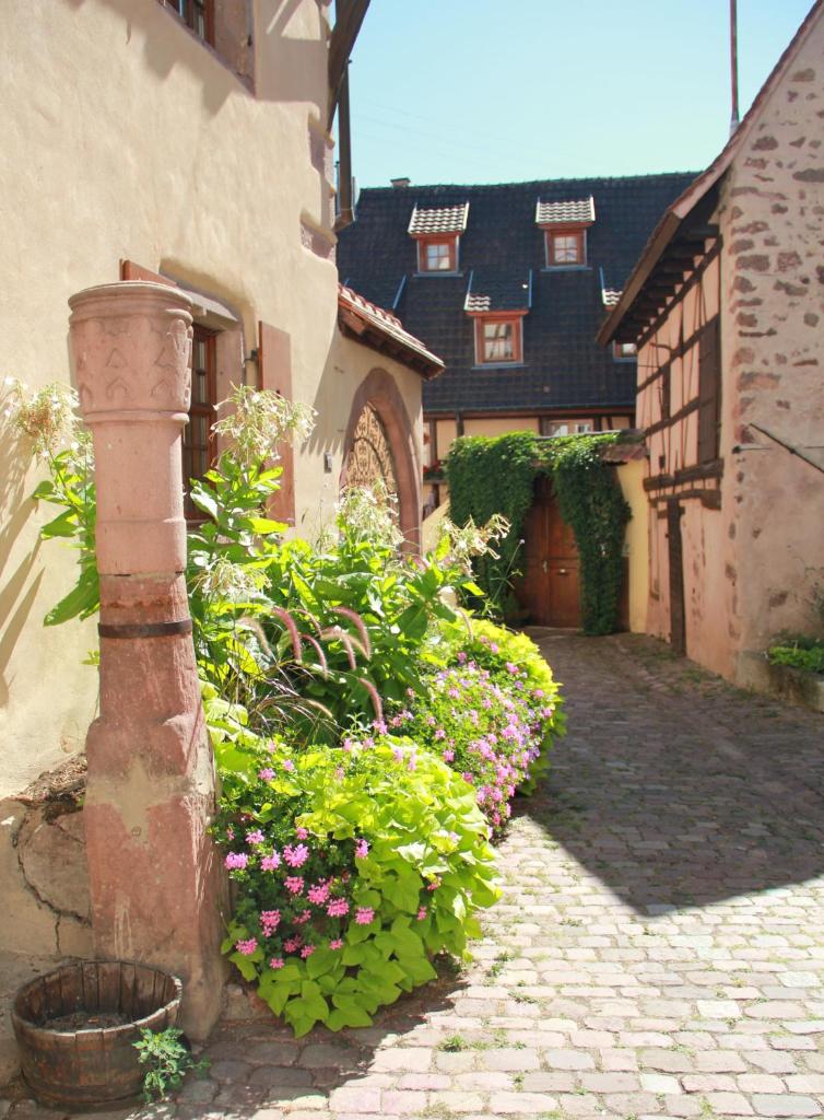 Les Gîtes Coeur de Vigne photo 2