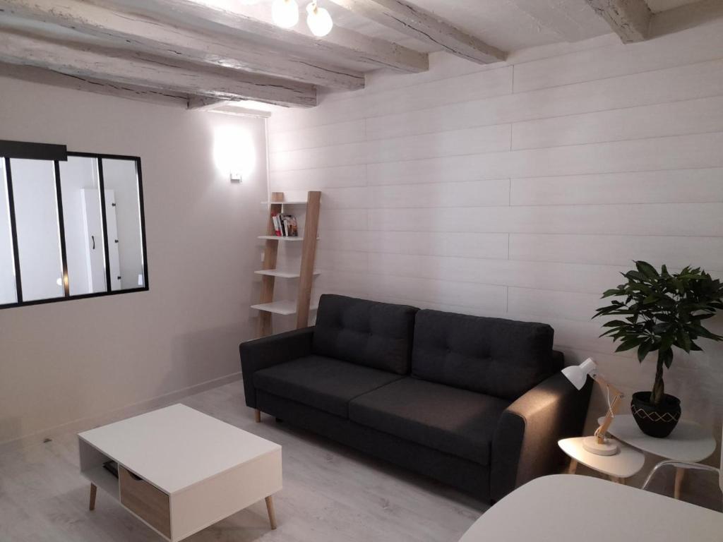 Le cosy d'Amboise photo 3