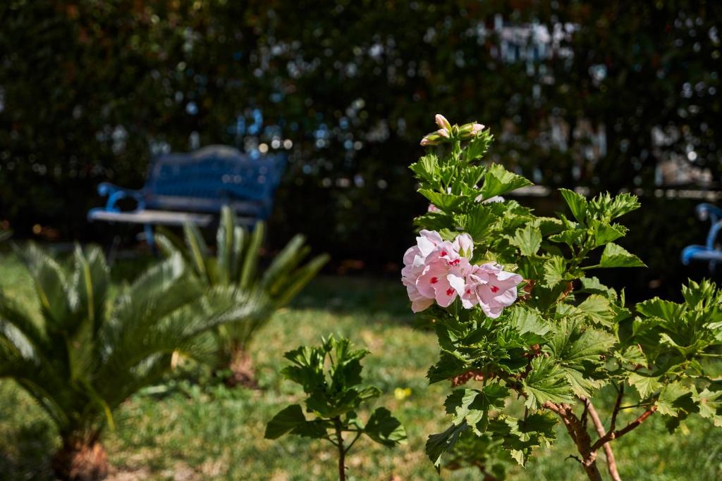 Il Giardino Di Flora photo 2