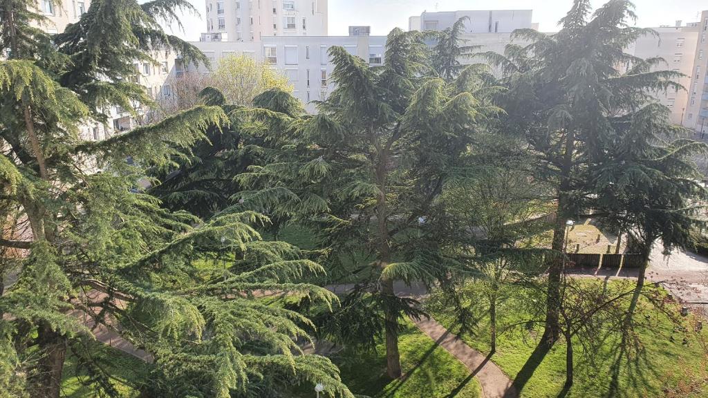 Dans grand appart de 113m2 proche Paris photo 1