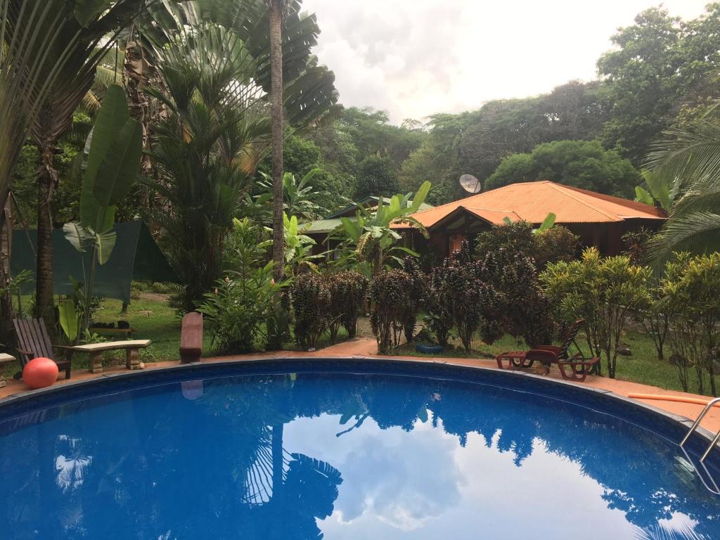 Cabinas Coco Lindo photo 1