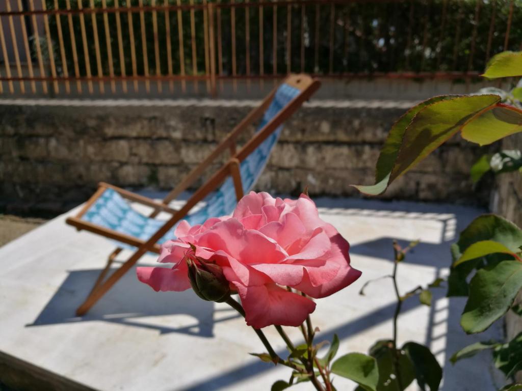 La Lenzerina Casa indipendente con giardino photo 4