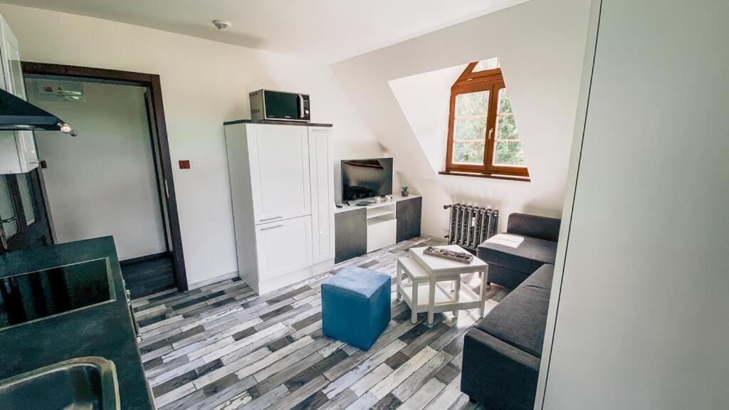 Apartmán Rezidence Rokytnice photo 4