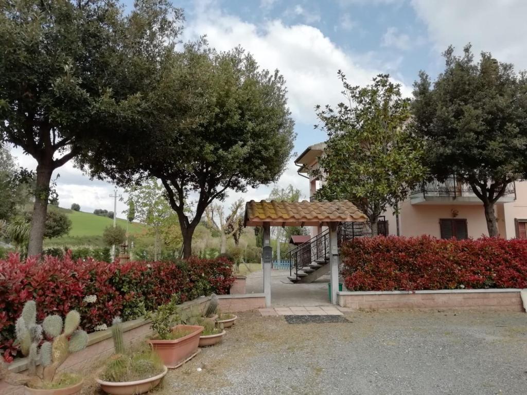 Antonia House photo 3
