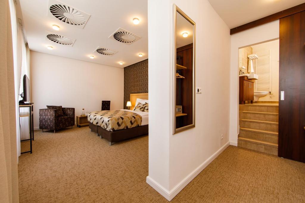 Двухместный (Улучшенный двухместный номер с 1 кроватью), APLEND CITY Hotel Michalska